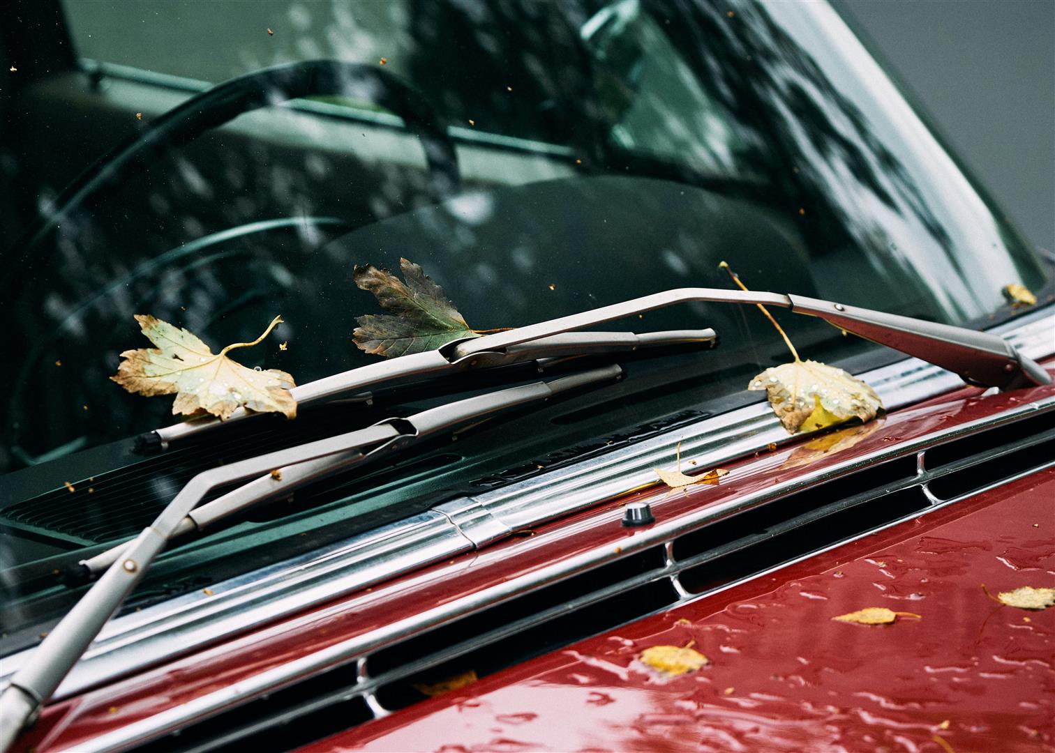 Windshield & Wipers Myths Busted: What Really Matters